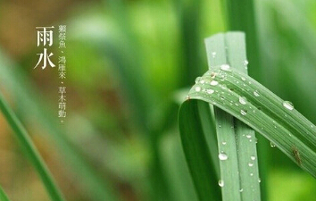 雨水節氣表示什麼 吃什麼能養生