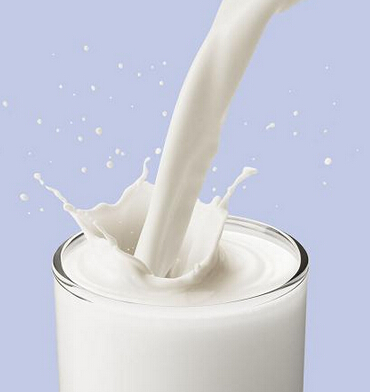 為什麼飯前半小時喝牛奶最好？