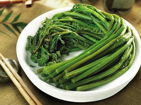 春天吃什麼野菜好 營養搶先看