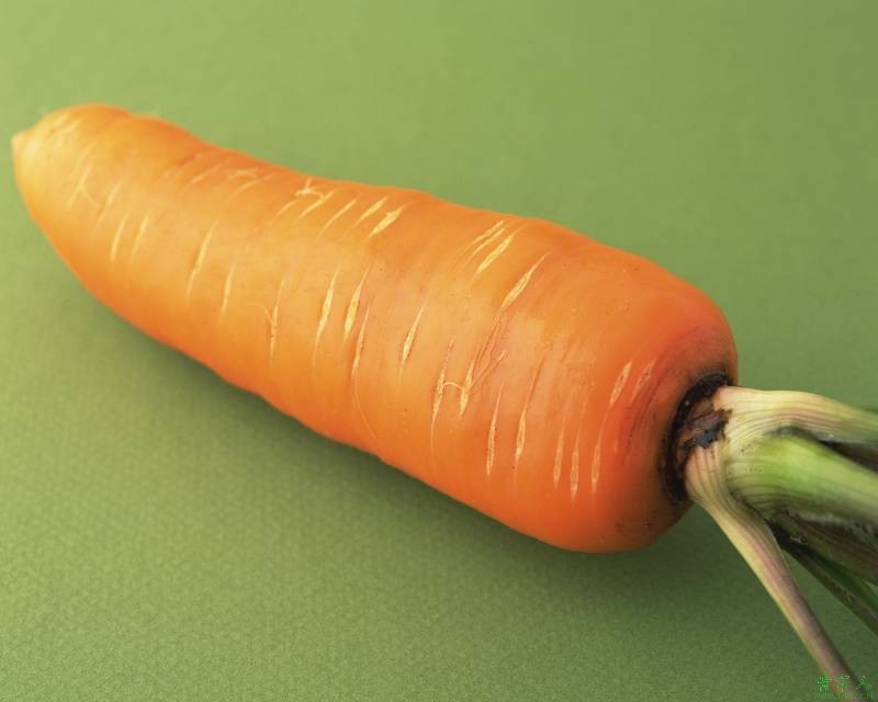 冬天吃蘿卜可能出現這些誤區