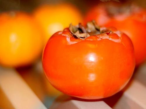 柿子不能與哪種食物一起吃 有哪些禁忌