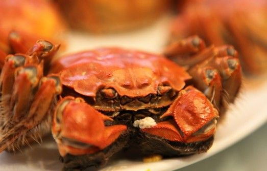 常吃螃蟹有三大益處