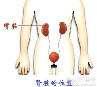 ​補腎佳品幫你留住青春