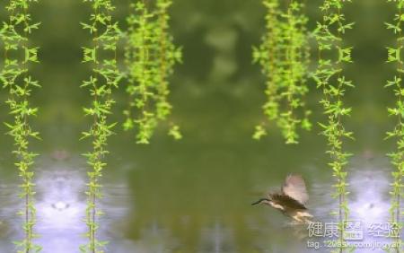初春慢性病高發四大疾病逐個擊破