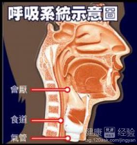 中醫聞診都有那些步驟·