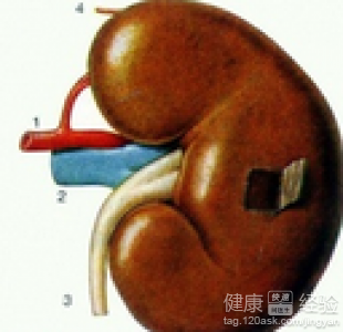 第1步