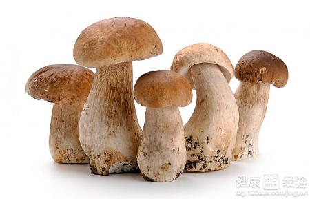 每天四個蘑菇補足維生素D