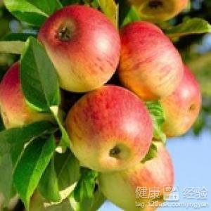 每天1蘋果美容養顏+排毒減肥
