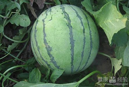 第3步