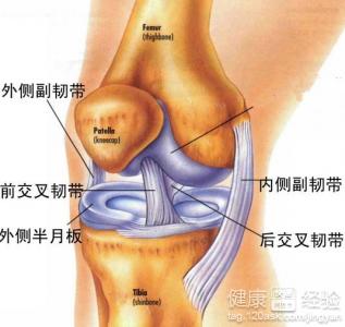 老人膝痛常做“三步操”