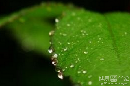 谷雨時節前後慎防5種疾病