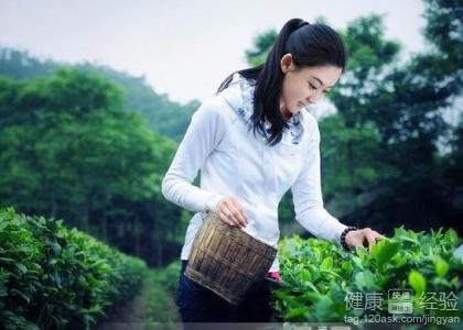 清明養生不能缺少"明前茶"教大家如何沖泡明前茶