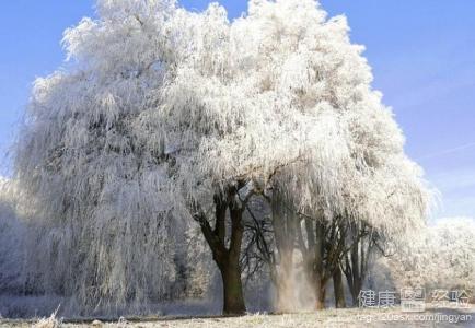 冬至怎樣養生？中醫推薦7方法！