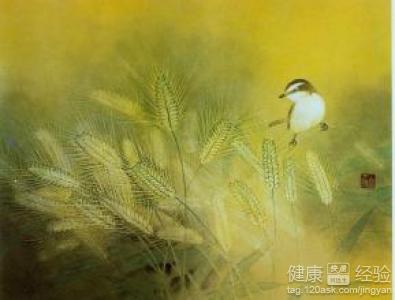 第2步