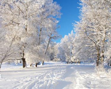 大雪節氣如何養生？大雪養生四注意