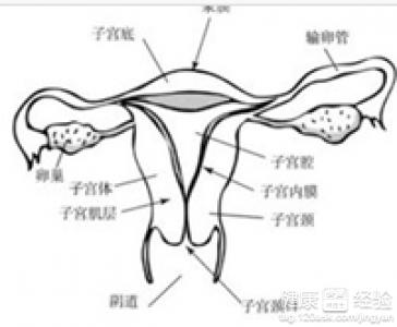 第1步