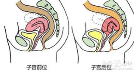 第3步