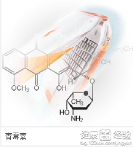 青霉素的作用大不大