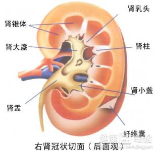 男性養腎的3大禁忌