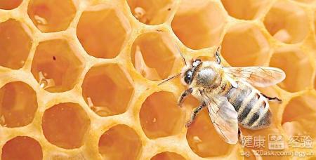 蜂蜜什麼時間吃怎麼吃最好