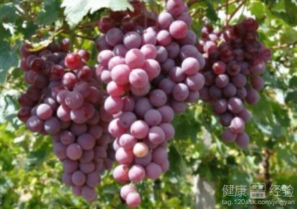 第1步