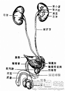 第1步