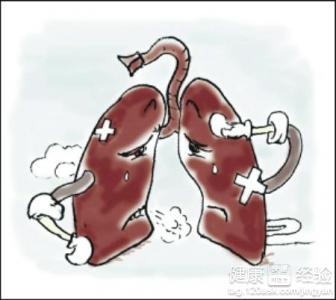 肺髒是呼吸髒器兩款湯清肺潤肺