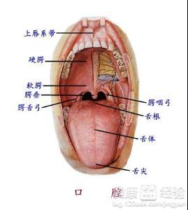 2個食療偏方治療嗓子發炎