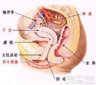 第2步