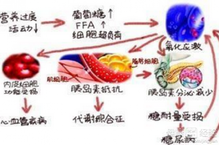 第2步