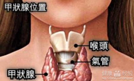 第1步