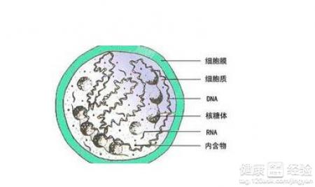 第1步