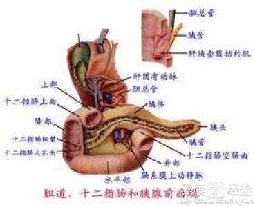 急性胃炎的症狀有哪些?胃炎吃什麼好?