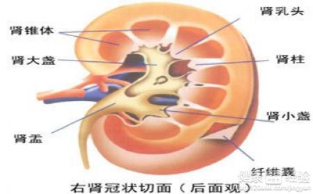 第1步