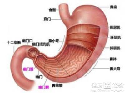 胃炎吃什麼食物好?5種食物治療胃炎