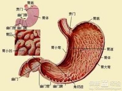 胃炎患者在飲食方面應該注意什麼?平時吃什麼食物好?