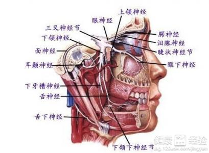 治療三叉神經痛的藥膳怎麼做