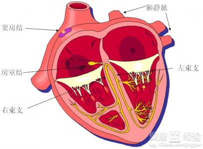 第1步