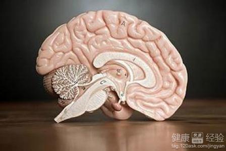 腦萎縮患者要少葷多素