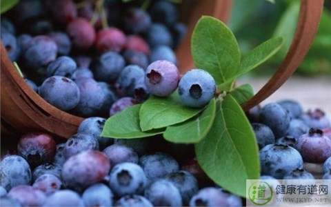 藍莓不能和什麼一起吃_藍莓和什麼相克