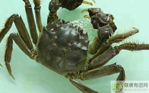 河蟹不能和什麼一起吃_河蟹和什麼相克