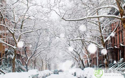 小雪節氣養生食譜