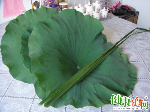 夏天吃什麼好?荷葉入肴飄清熱解暑