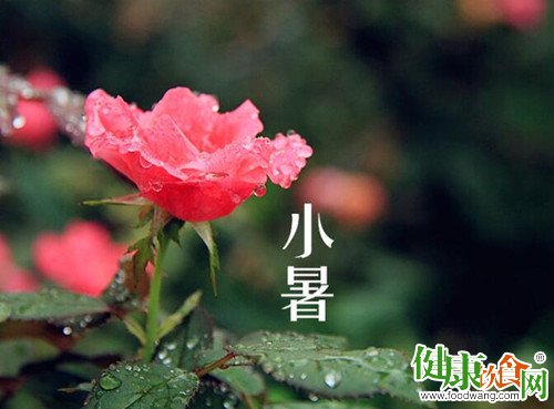 小暑吃什麼?小暑養生可食三道菜