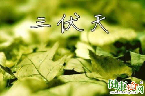 三伏天養生攻略:從飲食、作息等做起