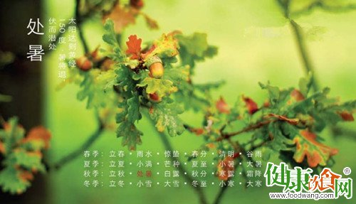 處暑過後初秋如何養生最健康?