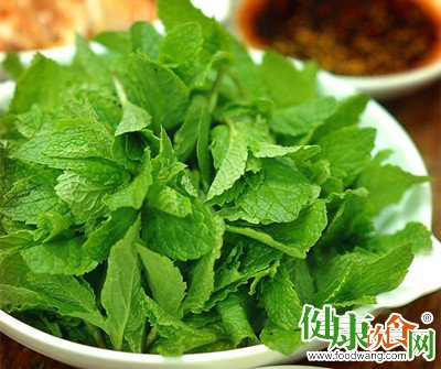 春來薄荷香:薄荷是一種好食材
