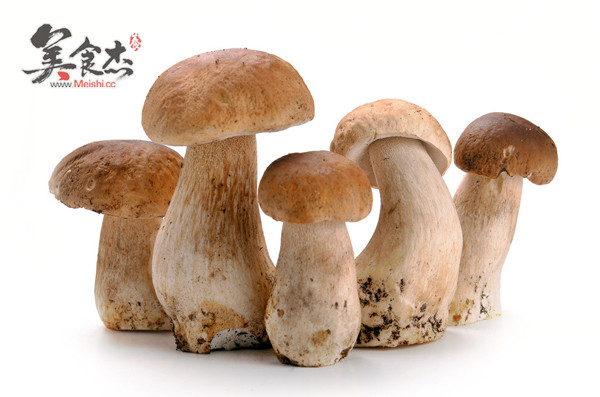 多吃蘑菇有助防肝癌mK.jpg