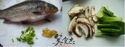 鲫魚青菜湯ni.jpg